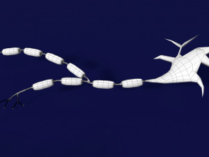 3D Neuron axon parts labelled detail model Modelo 3D