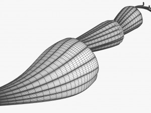 Muscle 3D 3Dモデル