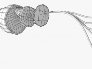 Muscle 3D 3D Model