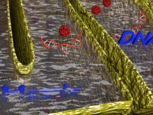 Mitochondria Microscopy detailed labelled 3D Model