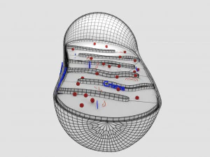 Mitochondria Microscopy detailed labelled 3D Model