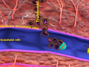 3D cancer metastasis spread model Modelo 3D