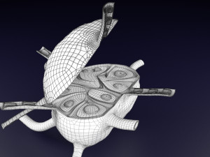 Lymph node Lymphatic system 3D 3D-Modell