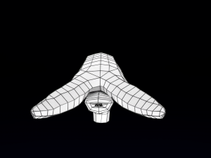 Penis complete anatomy histology layers cut section 3D Модель