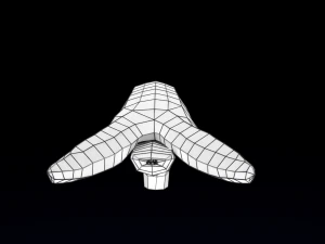 Penis complete anatomy histology layers cut section 3D Model