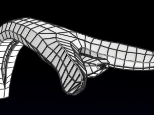Penis complete anatomy histology layers cut section 3D Модель