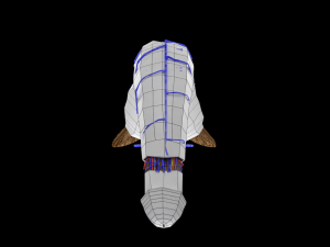 Penis complete anatomy histology layers cut section 3D Модель
