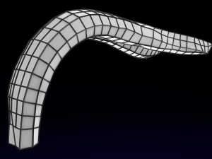 Penis complete anatomy histology layers cut section 3D Модель