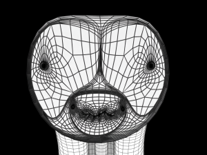 Penis complete anatomy histology layers cut section 3D Модель