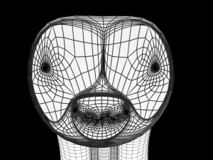 Penis complete anatomy histology layers cut section 3D Model