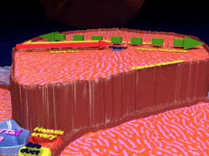 Liver lobule histology animated 3D Model