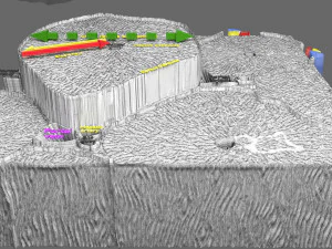 Liver lobule histology animated 3D Model