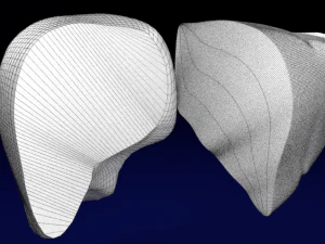 Liver lobule histology animated 3D Model