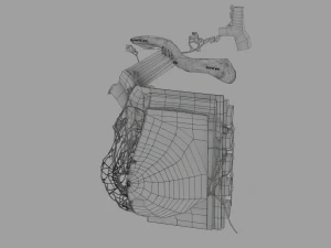 Breast Cancer types spread labelled detail 3D Model
