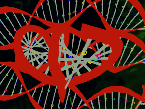 Bacteria With Dna Helix Detailed 3D Model