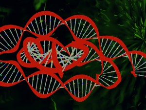 Bacteria With Dna Helix Detailed 3D-Modell