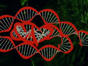 Bacteria With Dna Helix Detailed 3D Model
