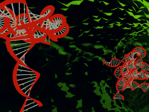 Bacteria With Dna Helix Detailed 3D-Modell