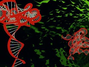 Bacteria With Dna Helix Detailed 3D Model