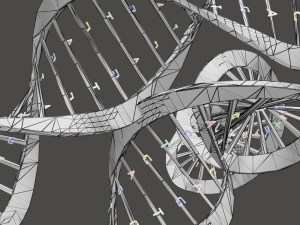 Bacteria With Dna Helix Detailed 3D-Modell