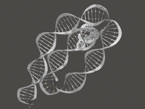Bacteria With Dna Helix Detailed 3D-Modell