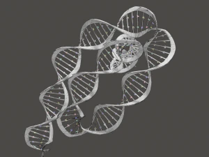 Bacteria With Dna Helix Detailed 3D Model