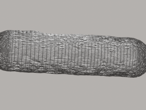 Bacteria With Dna Helix Detailed 3D-Modell