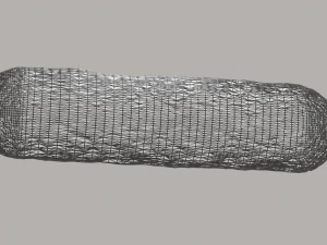 Bacteria With Dna Helix Detailed 3D Model