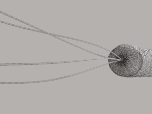 Bacteria With Dna Helix Detailed 3D-Modell