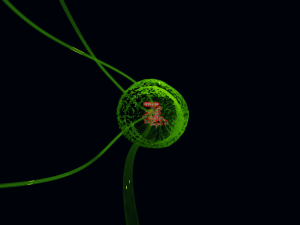 Bacteria With Dna Helix Detailed 3D-Modell