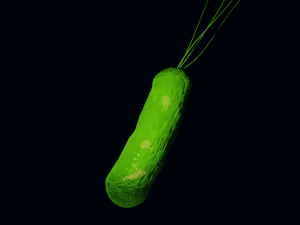 Bacteria With Dna Helix Detailed 3D-Modell