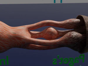 Breast duct sites and diseases 3D Model