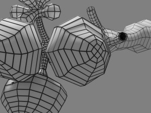 Breast duct sites and diseases 3D Модель