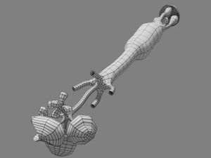 Breast duct sites and diseases 3D Model