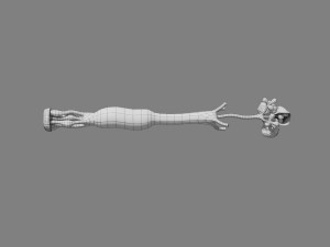 Breast duct sites and diseases 3D Модель