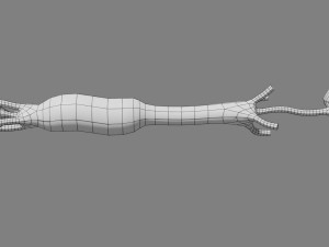 Breast duct sites and diseases 3D Модель