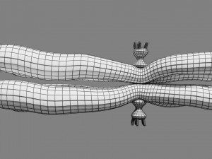 Chromosome homologous centromere kinetochore blender 3D 모델
