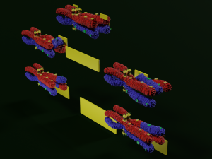 Chromosome genetic recombination blender 3d 3D मॉडल