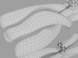 Chromosome genetic recombination blender 3d 3D मॉडल