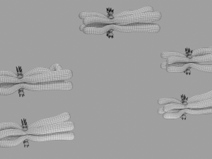 Chromosome genetic recombination blender 3d 3D मॉडल