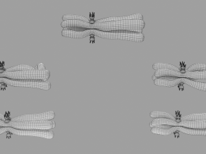 Chromosome genetic recombination blender 3d 3D मॉडल