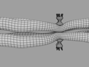 Chromosome genetic recombination blender 3d 3D मॉडल