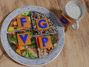HEALTHY FOOD PLATE PROPORTION 3D प्रिंट मॉडल