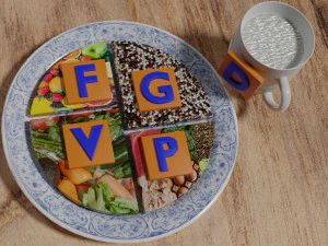HEALTHY FOOD PLATE PROPORTION 3D Print Model