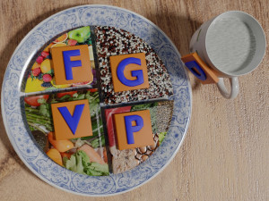 HEALTHY FOOD PLATE PROPORTION 3D प्रिंट मॉडल