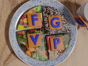 HEALTHY FOOD PLATE PROPORTION 3D प्रिंट मॉडल