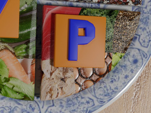 HEALTHY FOOD PLATE PROPORTION 3D प्रिंट मॉडल