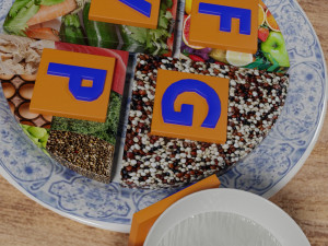 HEALTHY FOOD PLATE PROPORTION 3D प्रिंट मॉडल