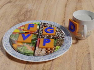 HEALTHY FOOD PLATE PROPORTION 3D Print Model