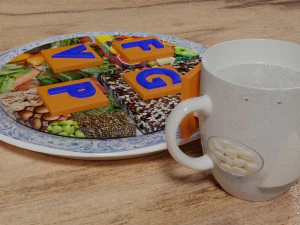HEALTHY FOOD PLATE PROPORTION 3D Print Model